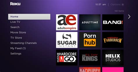 porn roku|Welcome to AdultStreamingTV.com!